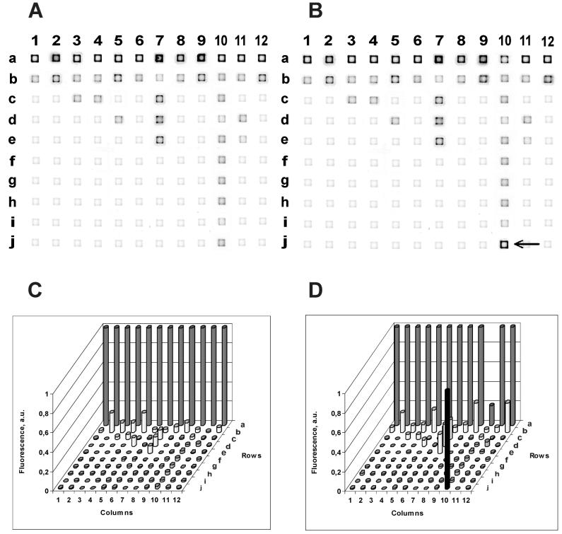 FIG. 1