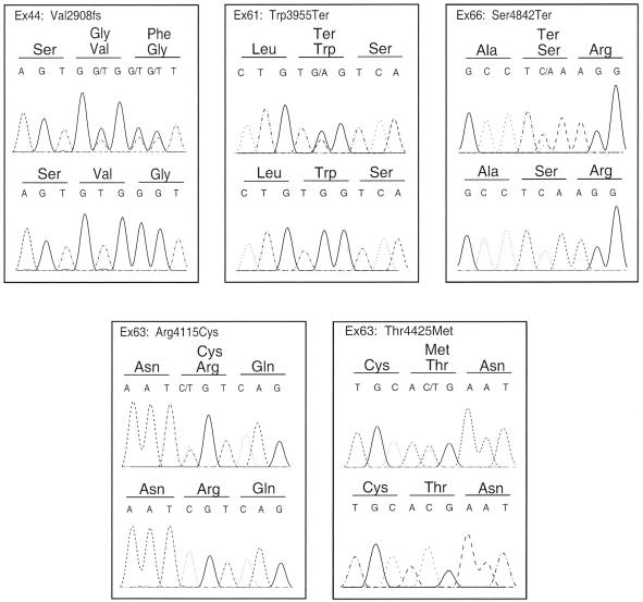 Figure  3