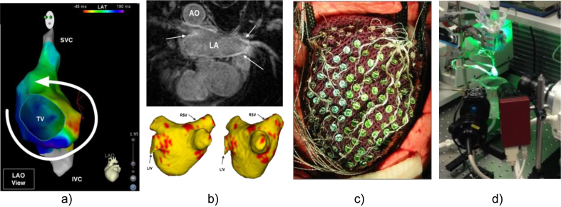 Fig. 3