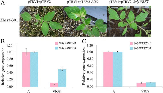 Fig. 12