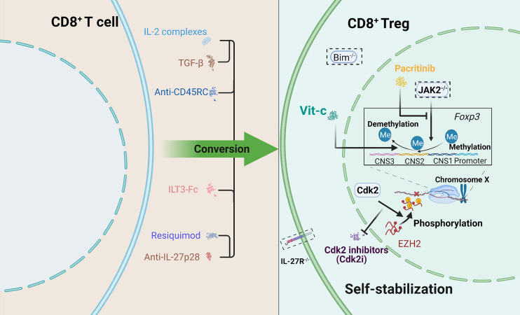 Figure 2