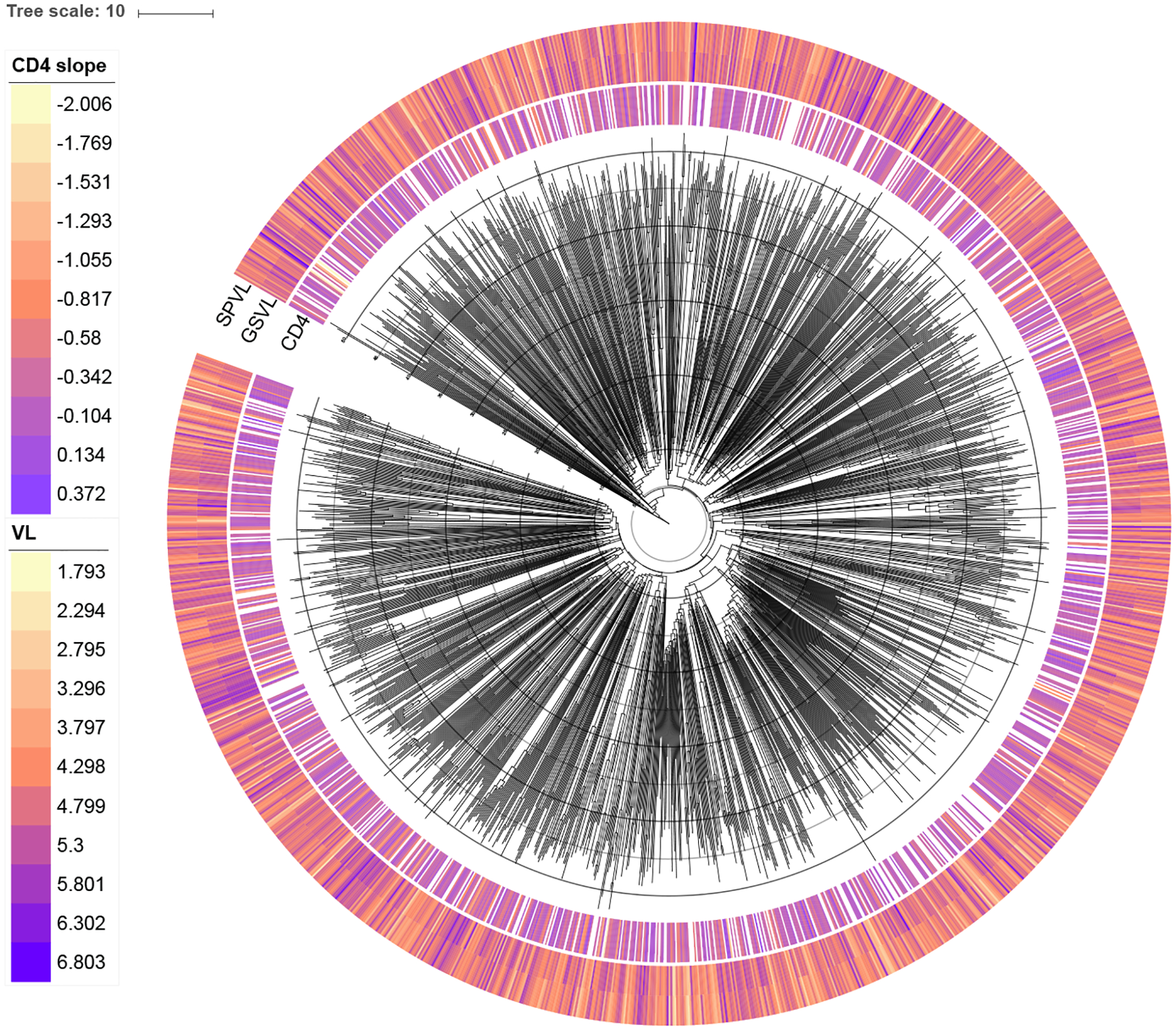 Figure 6: