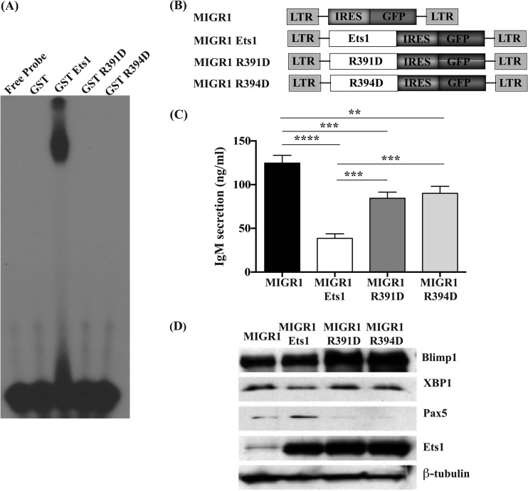 FIG 3