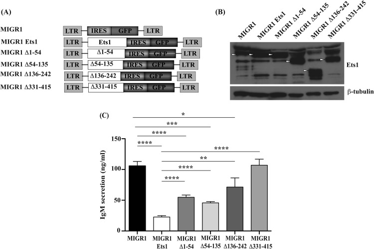 FIG 6