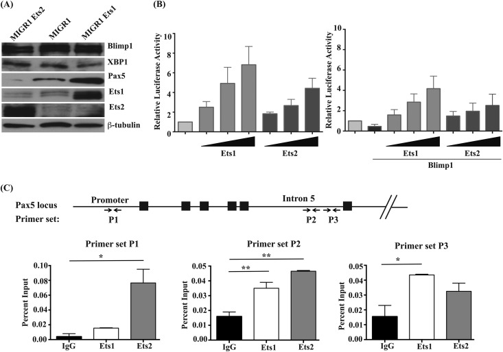 FIG 2