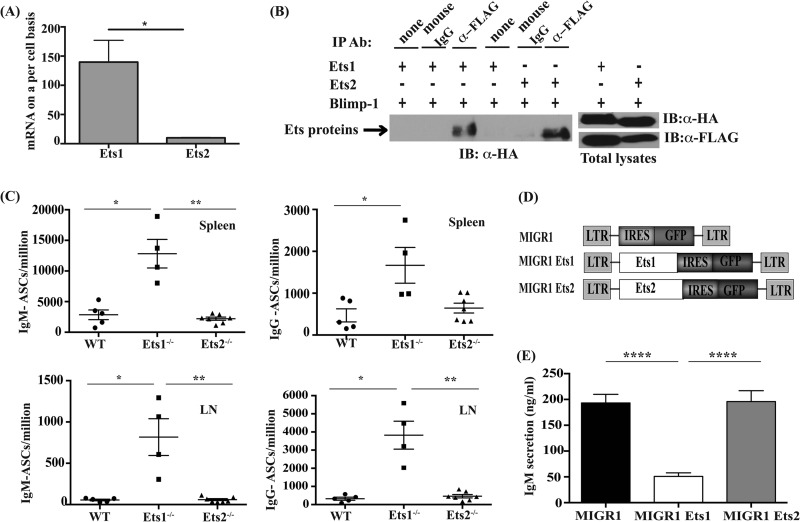 FIG 1