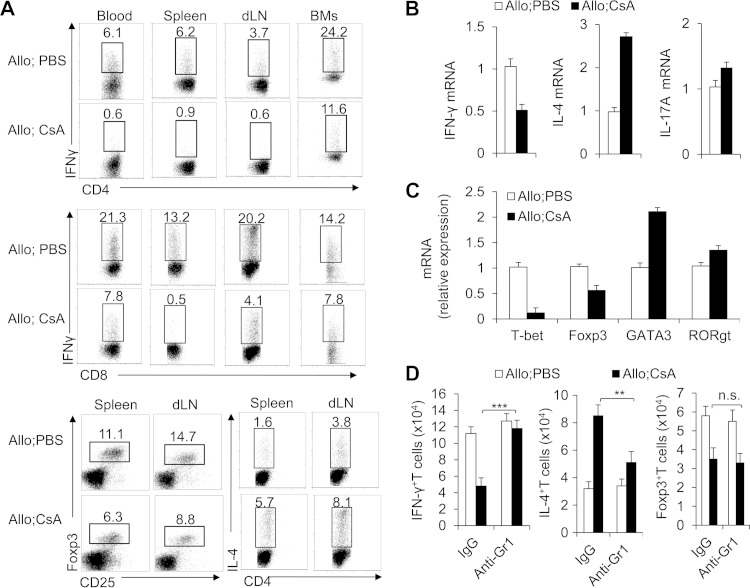 FIG 6