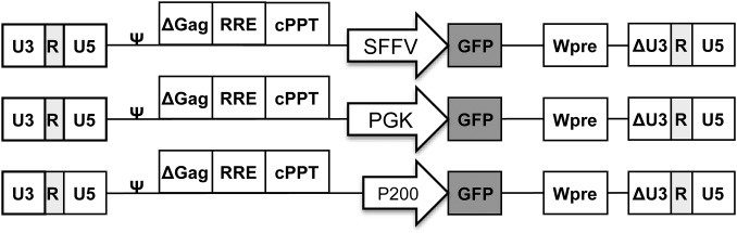 Fig. S1.