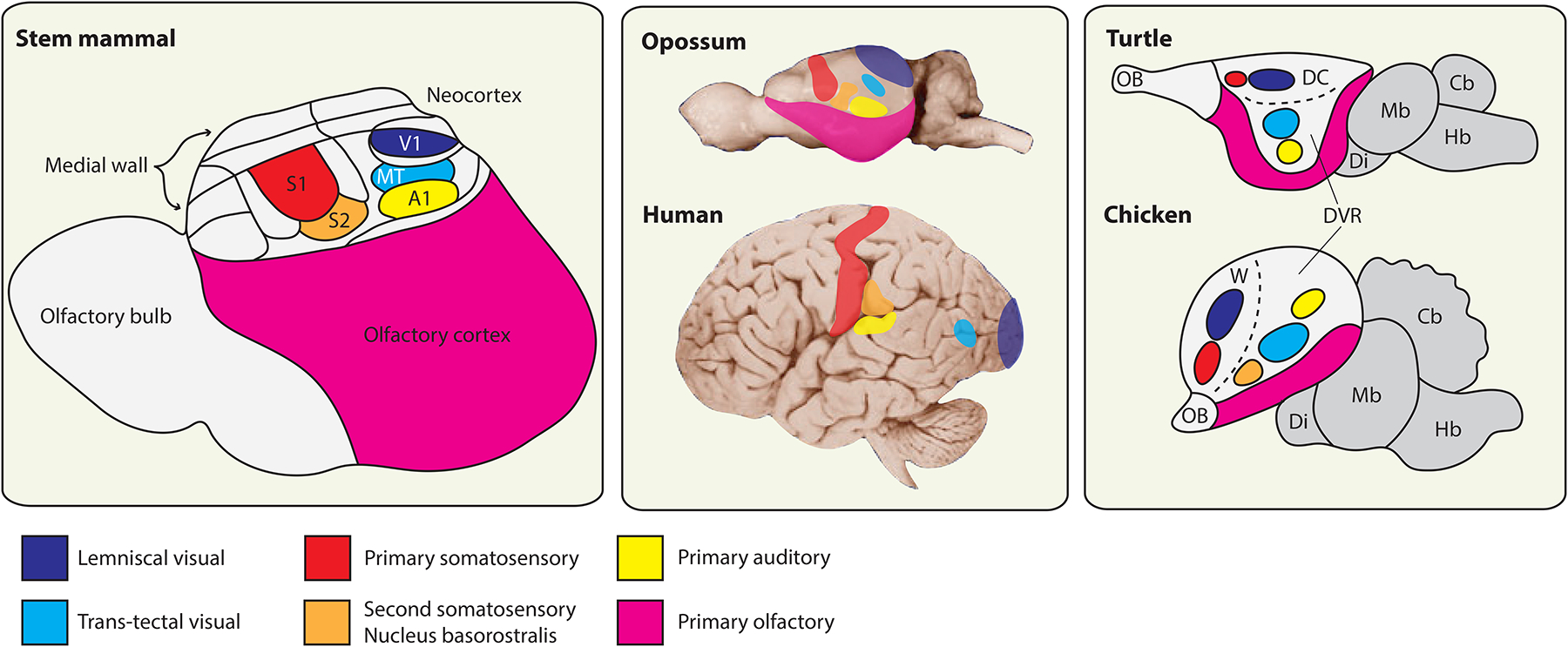 Figure 4.