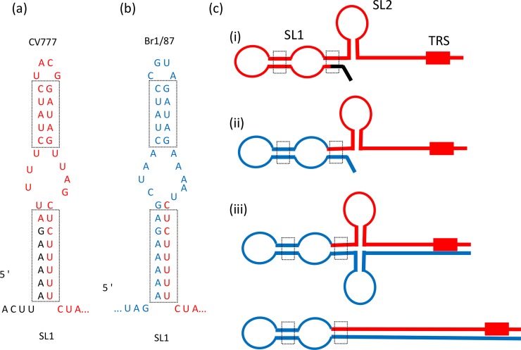 Fig 5