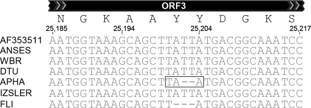 Fig 3