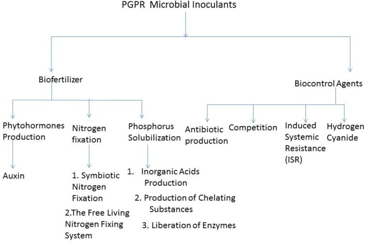 FIGURE 1