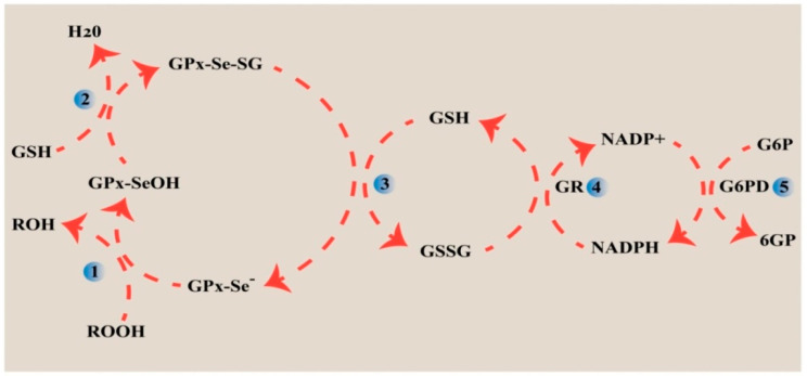 Figure 7