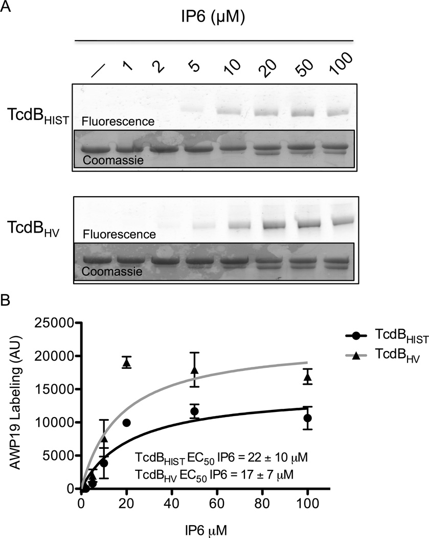 Fig. 2