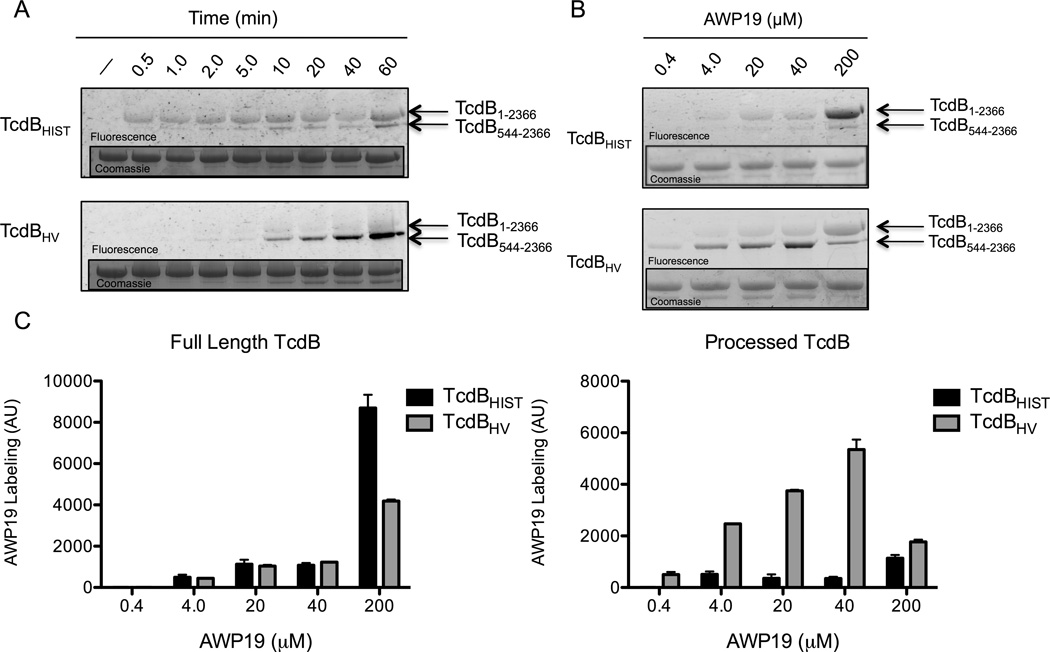 Fig. 4