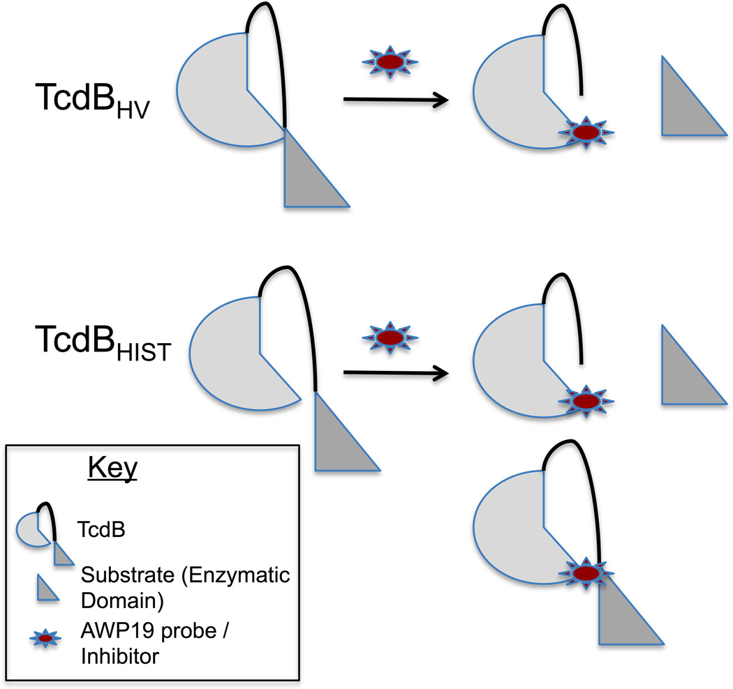 Fig. 6