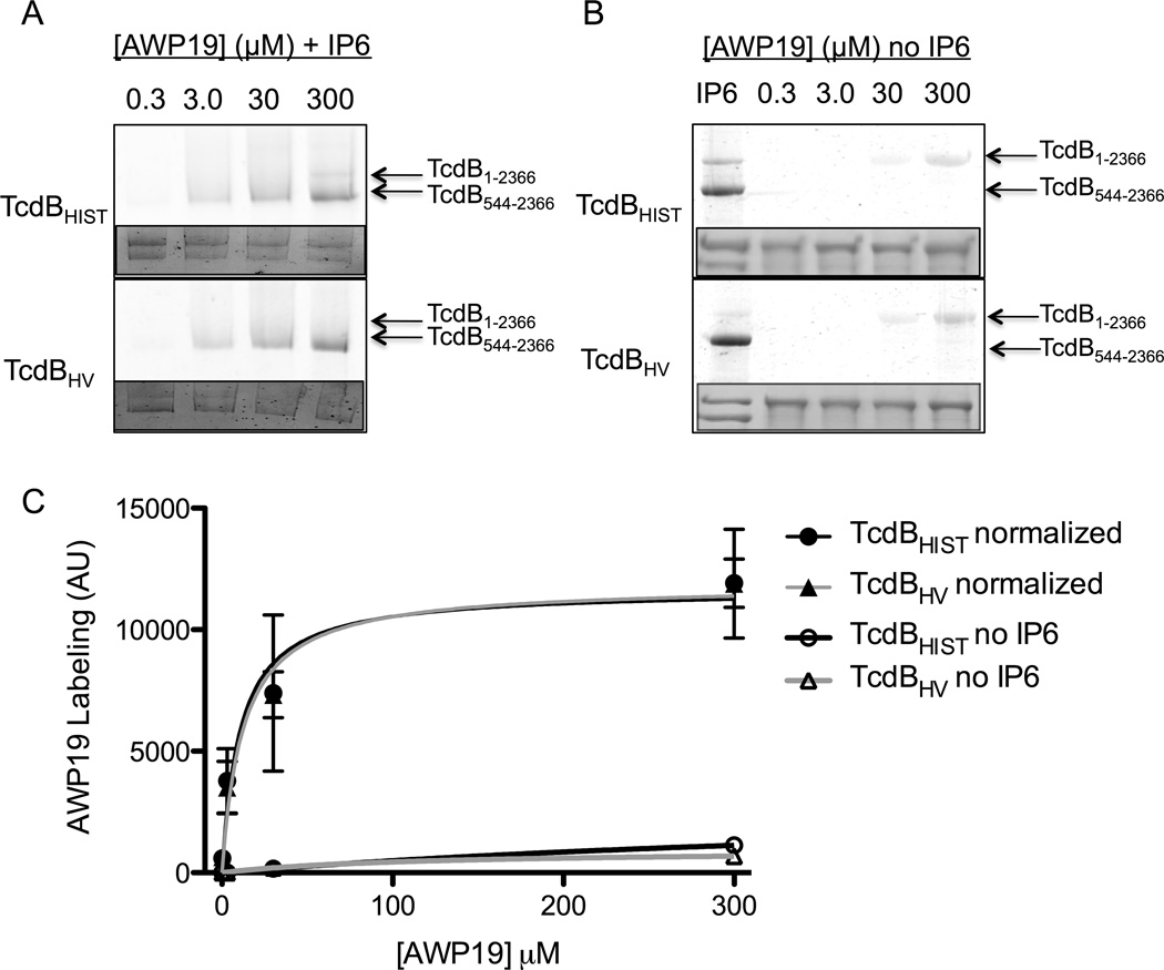 Fig. 3