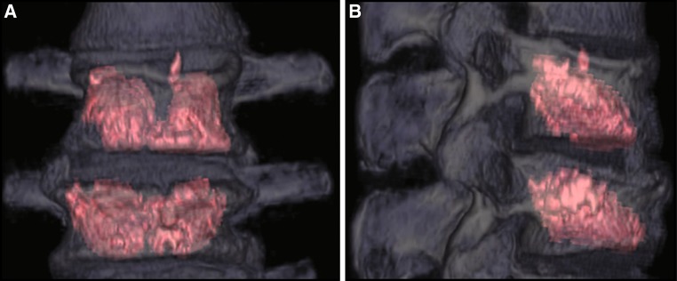 Fig. 5