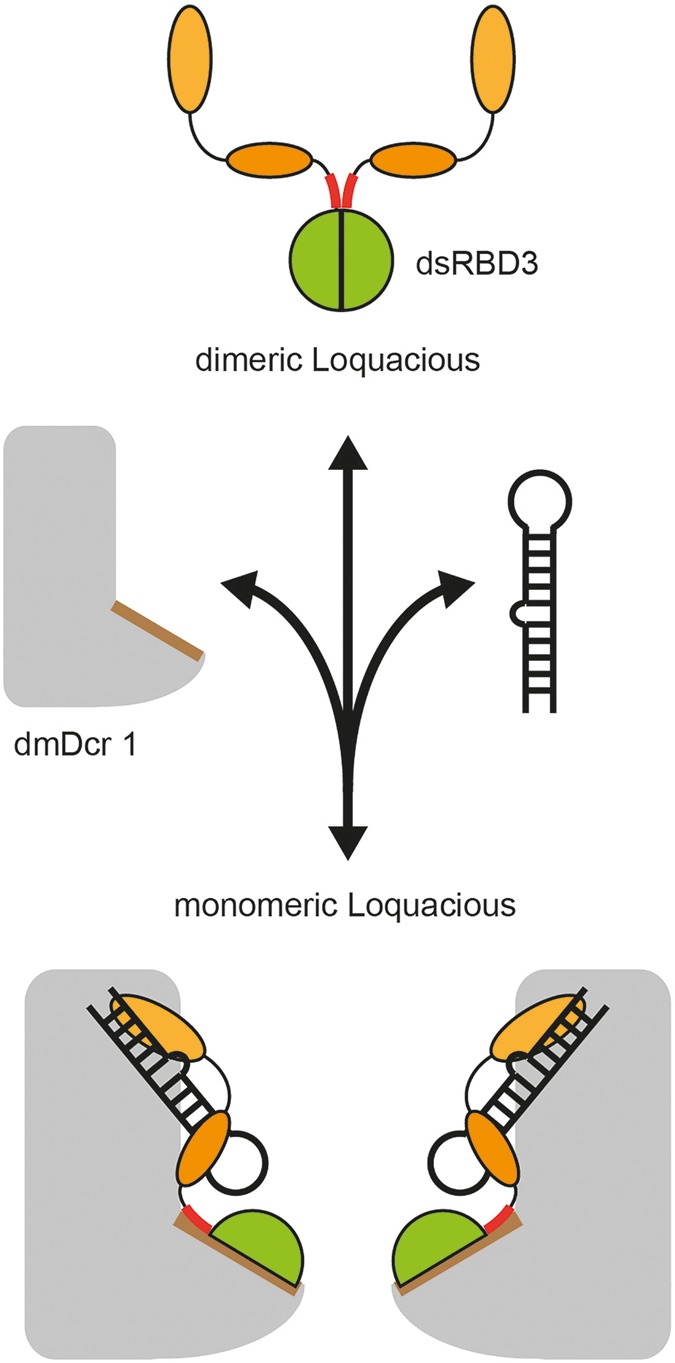 FIGURE 7.