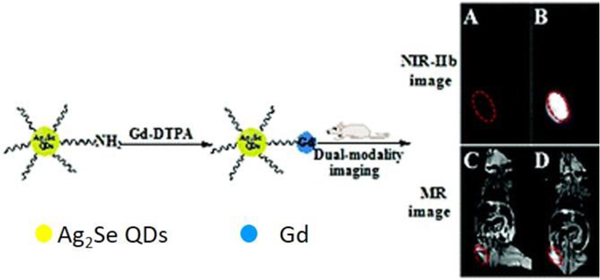 Fig. 9