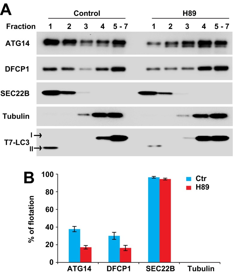 Figure 12.