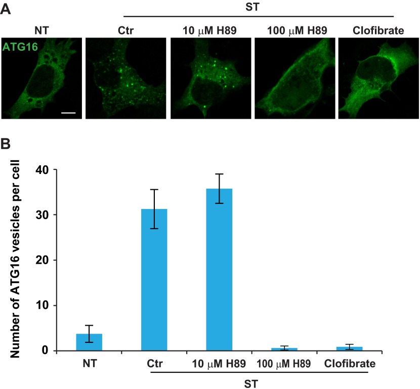 Figure 10—figure supplement 1.