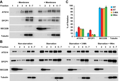 Figure 12—figure supplement 1.