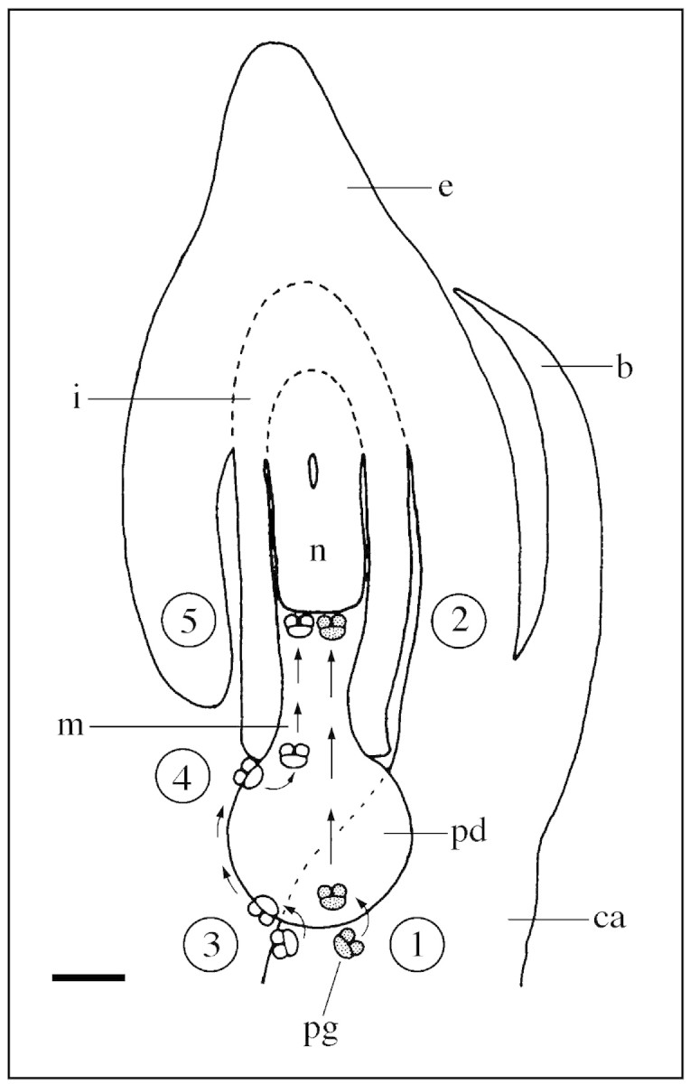 graphic file with name mcf019f5.jpg