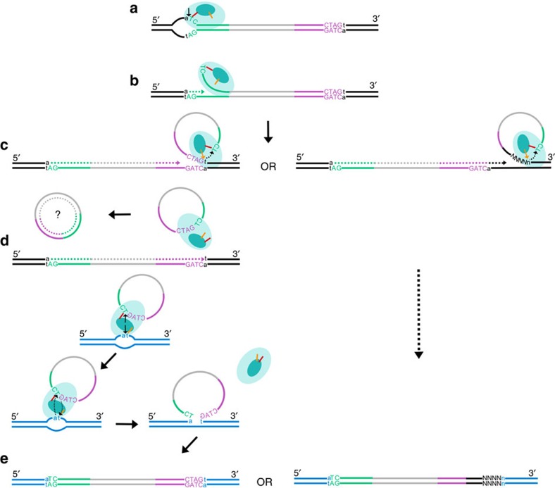 Figure 7