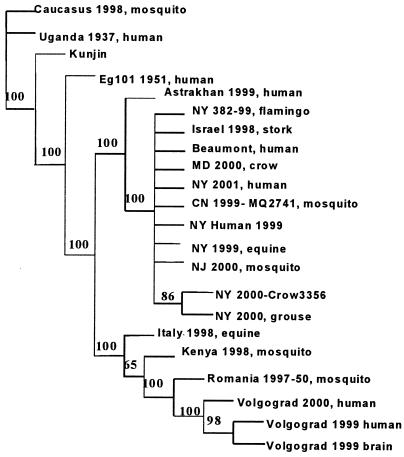 FIG. 1.