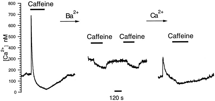 Fig. 11.