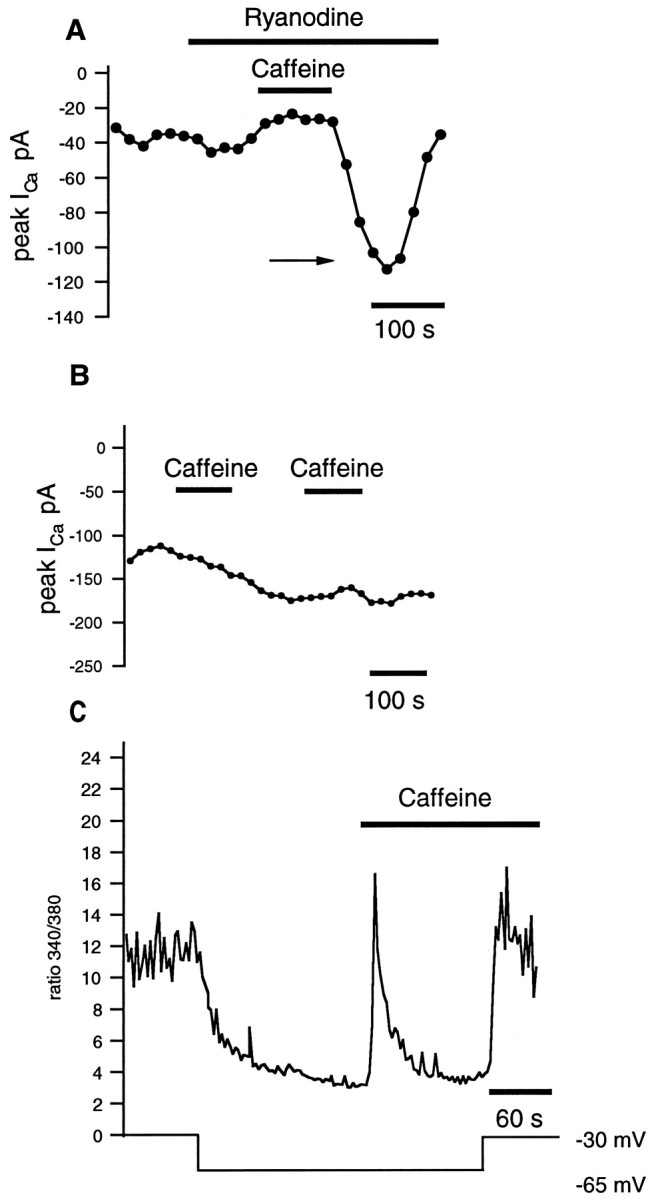 Fig. 9.