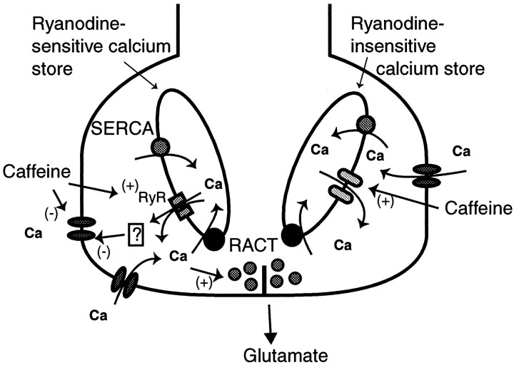 Fig. 12.