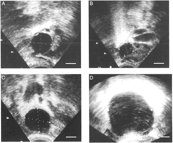 Figure 5