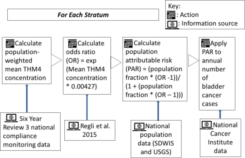 Figure 1 is a flowchart showing the methodology used to estimate bladder cancer cases for each stratum with four steps. Step 1: The calculated population weighted mean trihalomethane-4 concentration was based on the third six-year review national compliance monitoring data sets. Step 2: The calculated odds ratio (O R) is equal to the exposure of a mean trihalomethane-4 concentration times 0.00427 with reference to Regli and others, 2015. Step 3: The calculated population attributable risk (P A R) is equal to the population fraction times odds ratio minus 1 per 1 plus population fraction times odds ratio minus 1 based on national population data (S D W I S and U S G S). Step 4: Applying the P A R annual number of bladder cancer cases based on national cancer institute data.