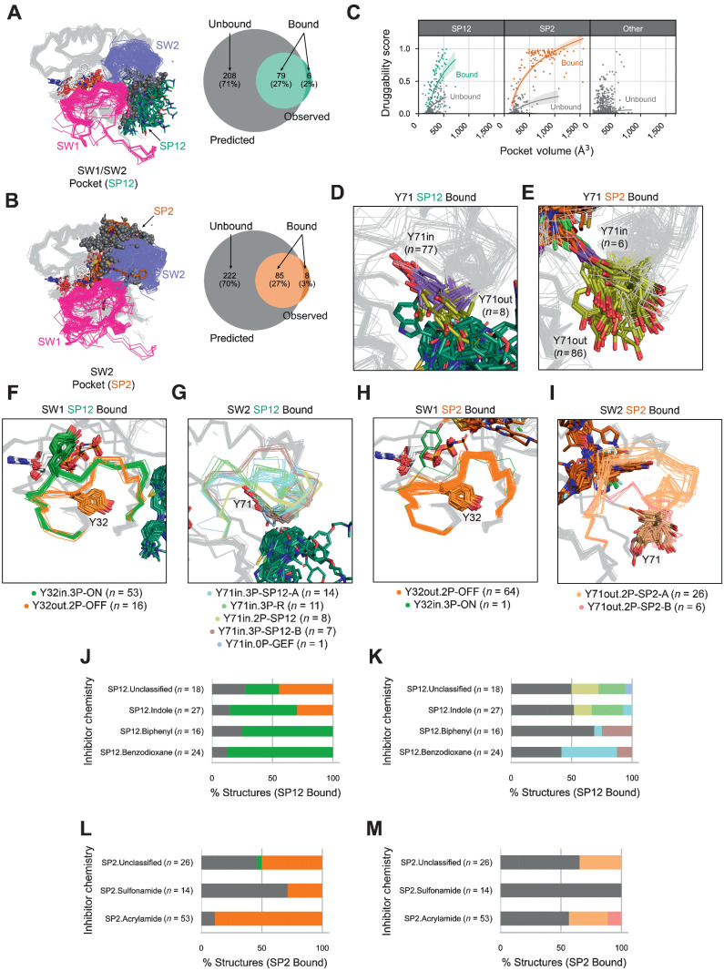 Figure 4. SW1 and SW2 conformations associated with inhibitor sites. Observed and predicted, SW1/SW2 pockets (SP12; A) and SW2 pockets (SP2; B) across RAS structures in the PDB. C, Pocket volumes and druggability scores across inhibitor-bound and unbound SP2, SP12, or other sites. Y71 positions in, SP12 (D) and SP2 inhibitor–bound structures (E). SW1 and SW2 conformations in RAS structures with an inhibitor-bound SP12 site (E and F) and an inhibitor-bound SP2 site (G and H). Percent of each SW1 and SW2 conformation bound to inhibitors with different chemistries at the SP12 site (I and J) and the SP2 site (K and L). I-J, colored by the same scheme as with gray indicating structures labeled outlier or disordered (E-H).