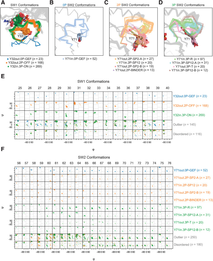Figure 2. SW1 and SW2 conformational clusters. A, SW1 conformations. In the Y32out.0P-GEF conformation, the central Y32 residue in SW1 is ∼12–13 Å from the active site. In the Y32out.2P-OFF conformation, SW1 is “closed” and interacts with the nucleotide through the backbone atoms of residues 28–32. In the Y32in.3P-ON conformation, further interactions are made with the nucleotide involving the side chains of residues Y32 and T35. SW2 conformations within 0P (B), 2P (C), and 3P states (D). In the Y71out.0P-GEF conformation, residues 58–60 of SW2 are pulled towards the nucleotide site, and the side chains of residues Q61 and Y71 form an intra- SW2 hydrogen bond (not displayed), which is not seen in other SW2 conformations. In all 2P SW2 conformations, except for Y71in.2P-SP12, Y71 is exposed to the solvent; the opposite trend is observed in all 3P SW2 conformations where Y71 is buried in the hydrophobic core of the protein, except in Y71out.3P-T where it is exposed. Ramachandran maps (φ versus ψ backbone dihedrals) for, E, SW1 and, F, SW2 conformational clusters. Lighter points in E and F correspond to loop structures with one or more residues belonging to different regional subdivisions of the Ramachandran map relative to the overall cluster that they belong to.