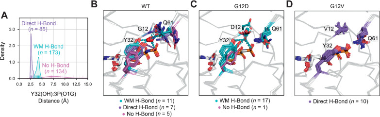 Figure 5. Structural impact of G12D and G12V mutations on GTP-bound substate preference. A, Distance distribution within 3P structure between the hydroxyl (OH) atom of residue Y32 and closest γ-phosphate (called here O1G) atom of GTP or GTP analogues, which was used to define hydrogen (H)-bonding subtypes: water-mediated (WM) H-bond, direct H-bond, and no H-bond. 3P substate preference within WT (B), G12D (C), and G12V (D) structures.