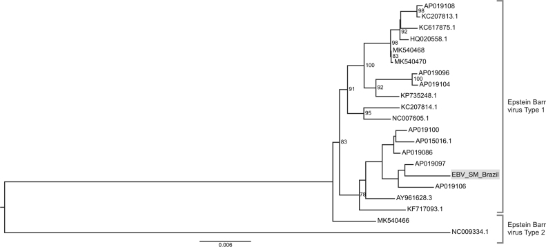 Fig. 2