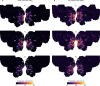 Figure 2—figure supplement 3.