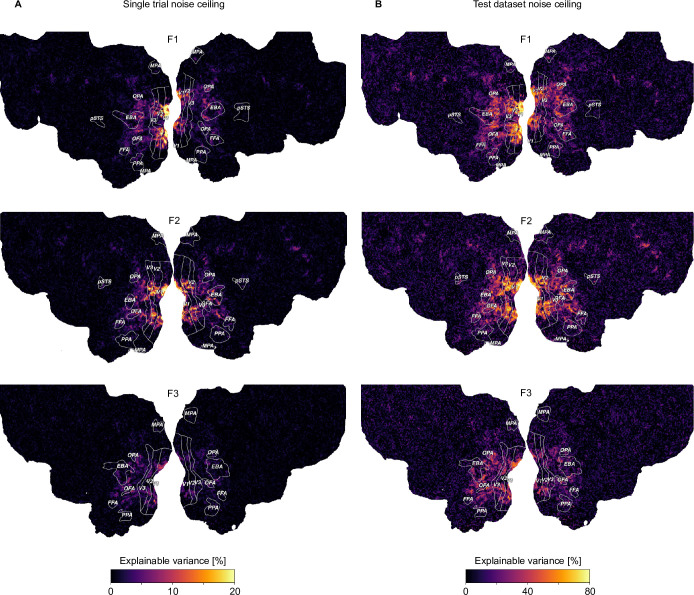 Figure 2—figure supplement 3.