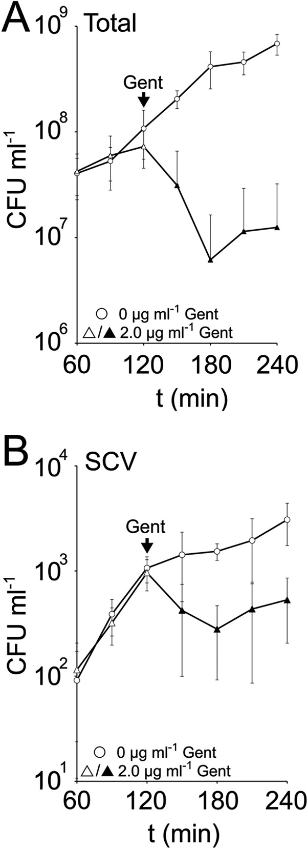 Fig 5