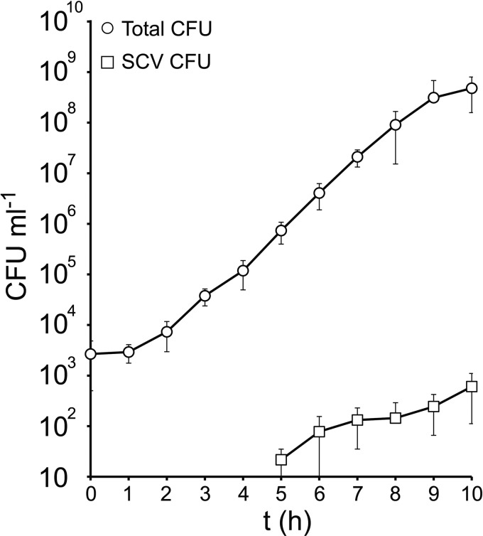 Fig 4