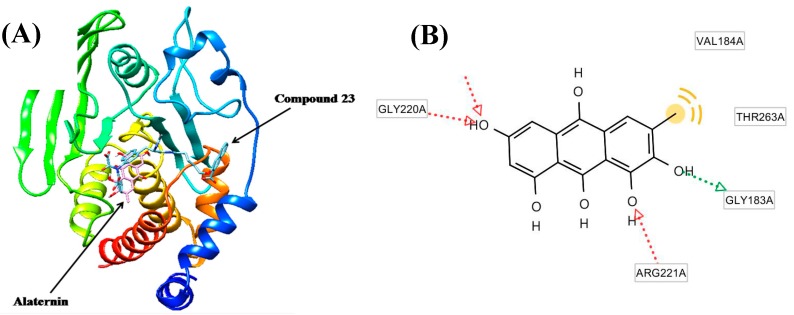 Figure 4