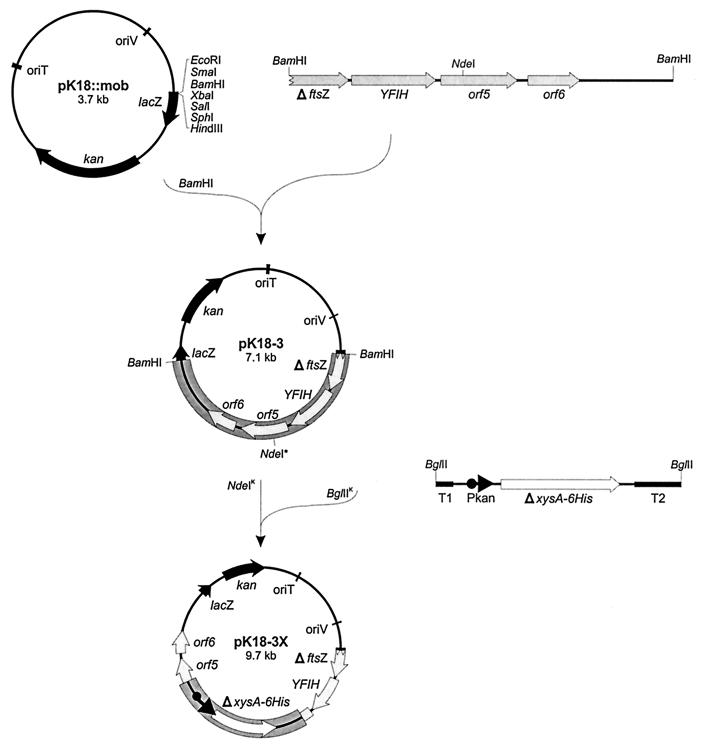 FIG. 1