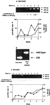 FIG. 7