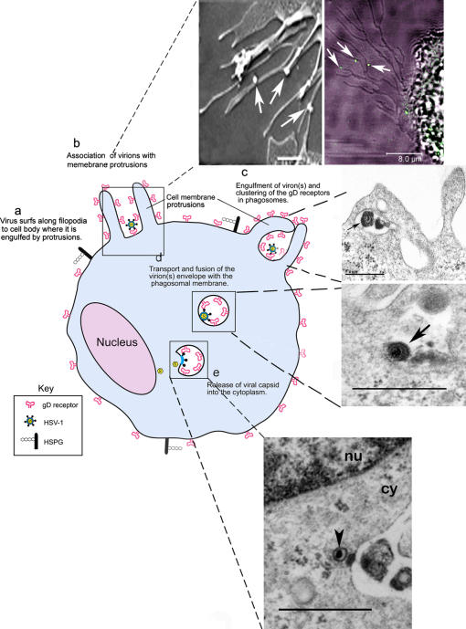 Figure 10.