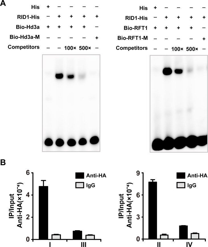 Fig 8