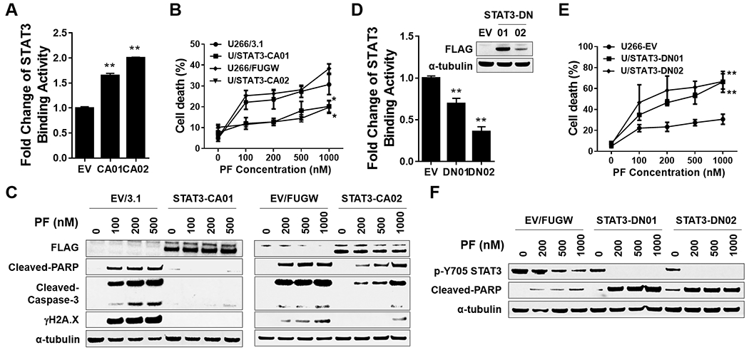 Figure 6.