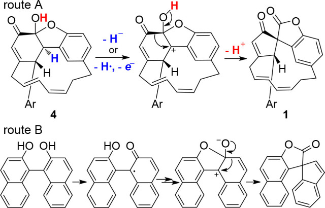 Scheme 1